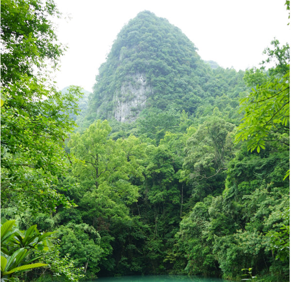 賞華夏大地，游多彩貴州-－2021年廣東博皓快樂行-2