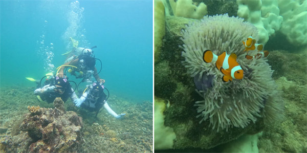 暢游碧海藍天，共筑團隊夢想—博皓沙巴風情之旅        -4