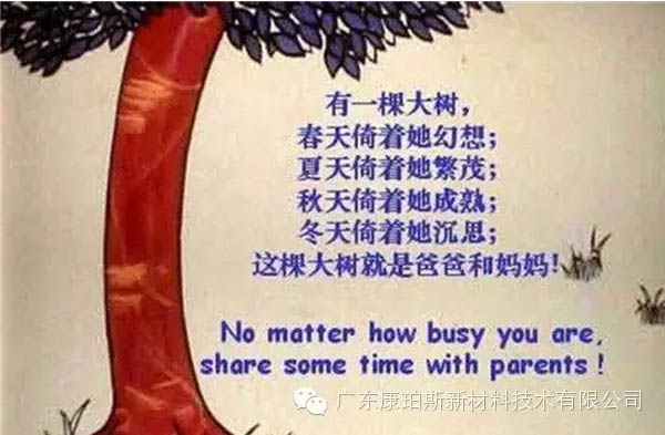 樹就是我們的父母！請(qǐng)愛護(hù)你們身邊的這棵樹！